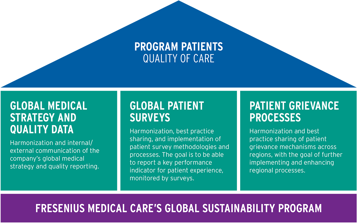 Diagram of the sustainability program’s quality of care focus 