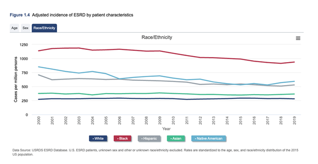 Line graph of adjusted incidence rates of ESRD, by patient race/ethnicity, 2000 to 2019. 
